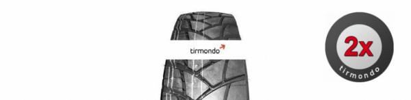 2x 13R22.5 TORQUE TQ768 154L