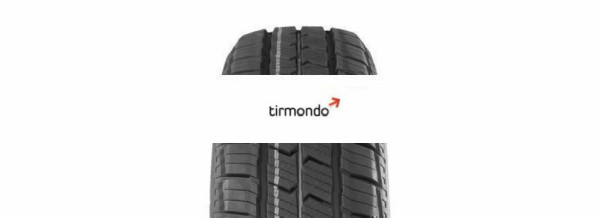 225/65R16 DELINTE AW5VAN 112S