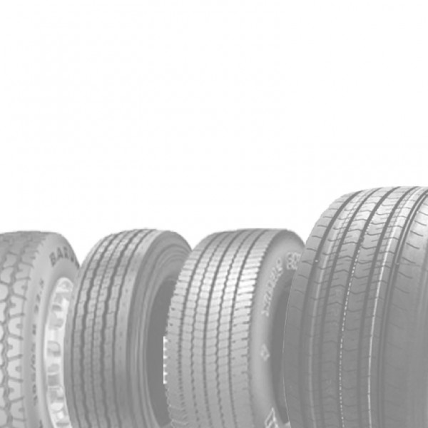 295/80R22.5 TRIANGLE TRD02