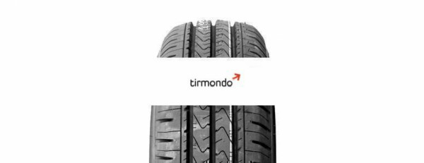 205/65R16 MINERVA EMIZEROVAN 107T